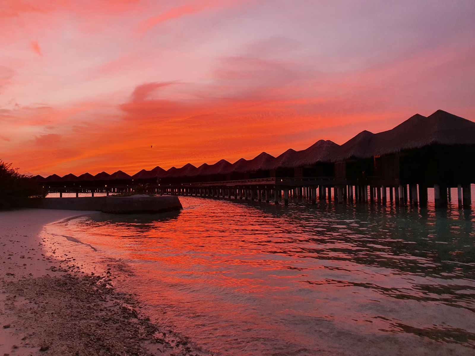 Arbeitssituation in ruhiger Atmosphäre